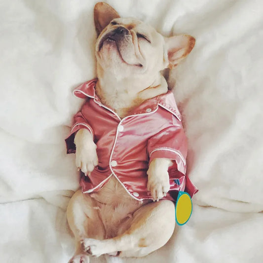 Luxurious Pet Pajamas