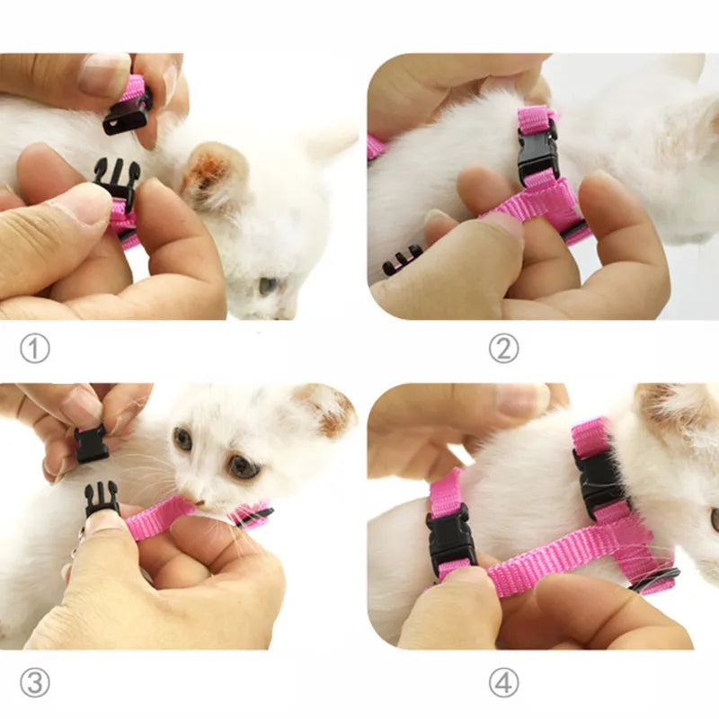 Angel Wings Cat Harness