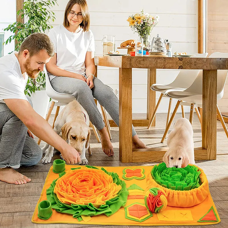 Dog Snuffle Mat