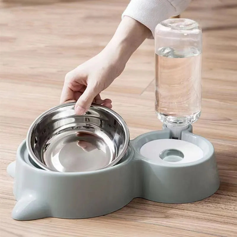 2-in-1 feeder pet bowl