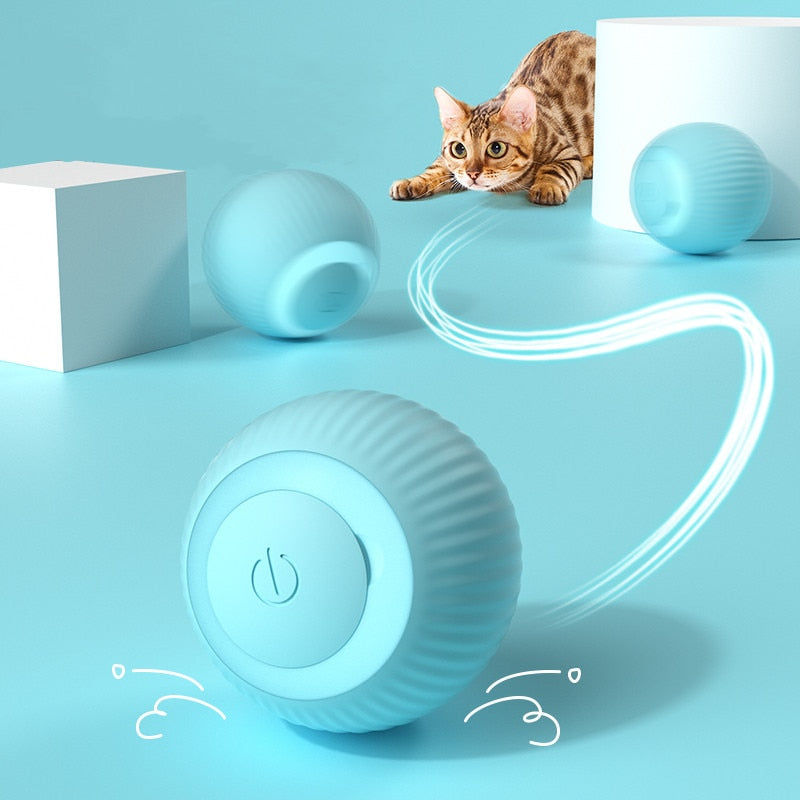 Smart Ball for Cats