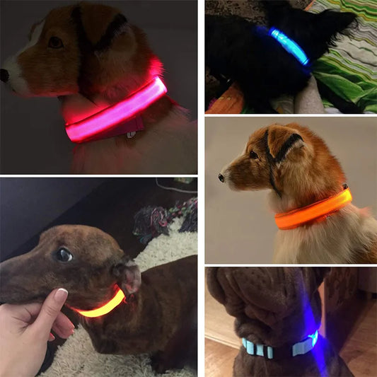 LED Dog Collars