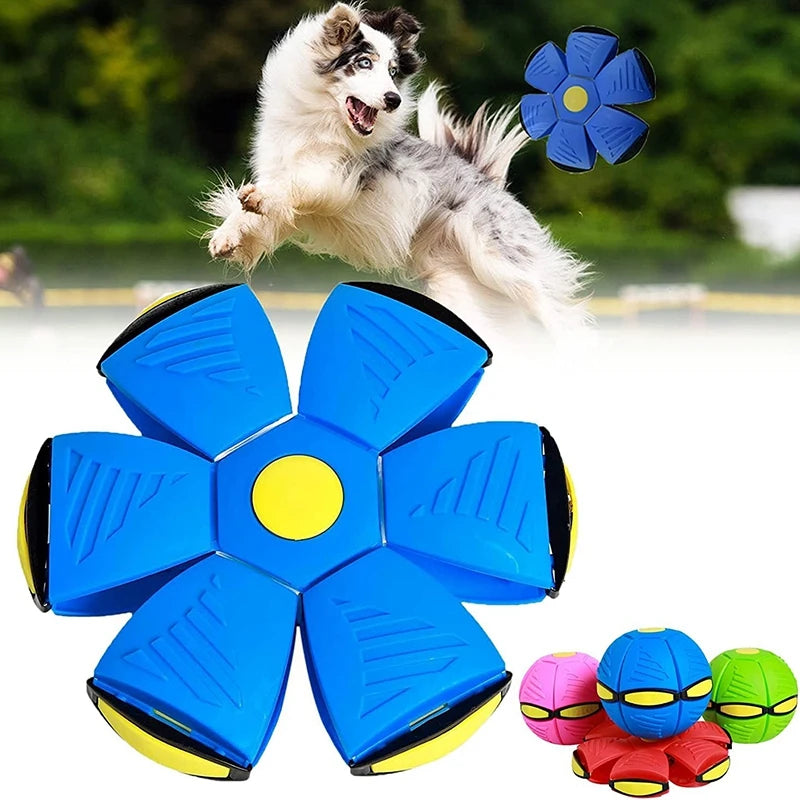 Saucer Ball Dog Toys