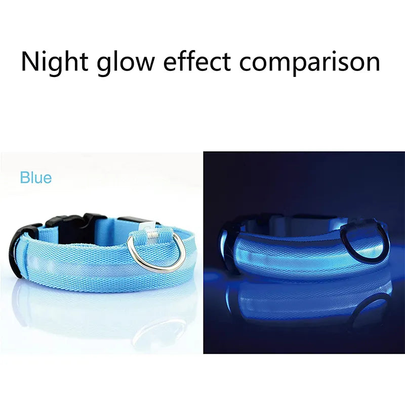 LED Dog Collars