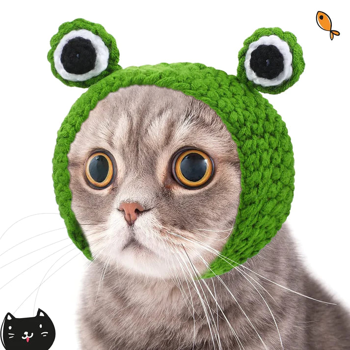 Pet Funny Hat