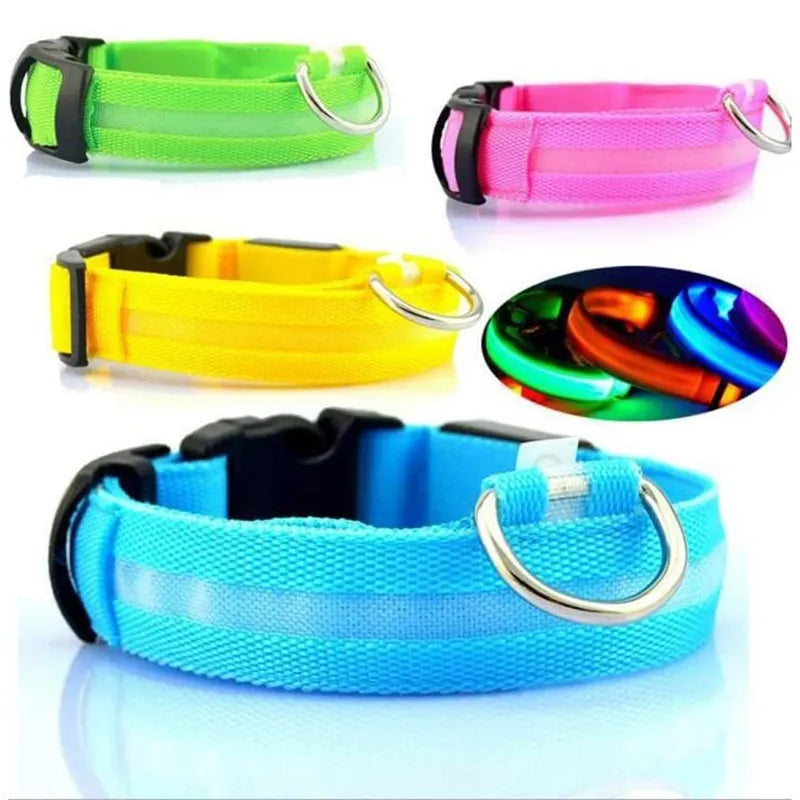 LED Dog Collars