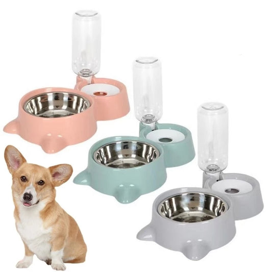 2-in-1 feeder pet bowl