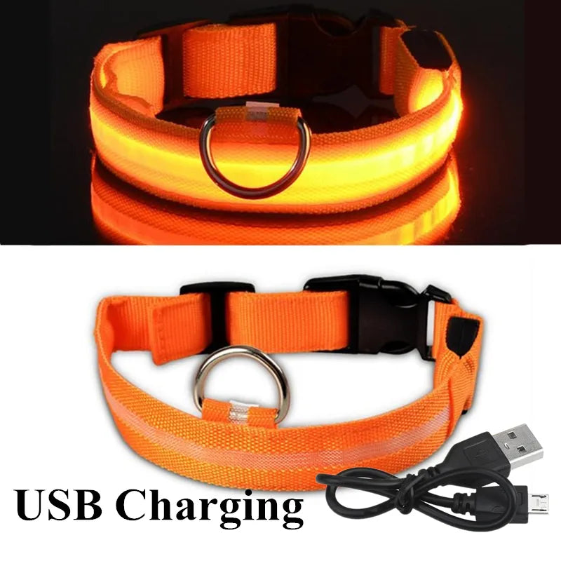 LED Dog Collars