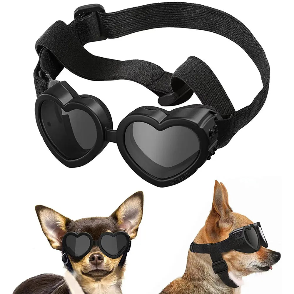 Pet Sunglasses