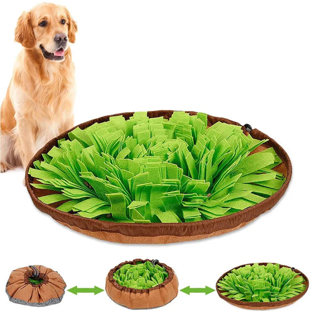 Snuffle Dog Mat