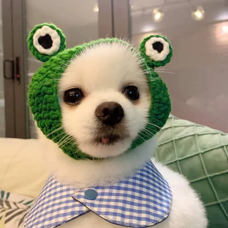 Pet Funny Hat