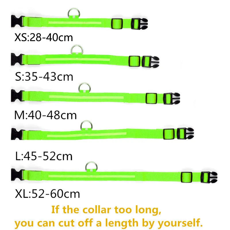 LED Dog Collars