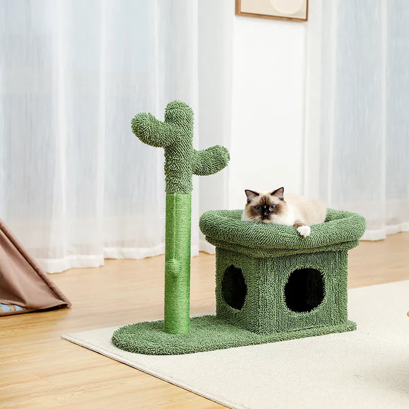 Cactus Cat Scratcher